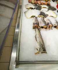 large chunks of delicious frozen unpeeled sea fish are sold among ice on a grocery store counter in the refrigerator