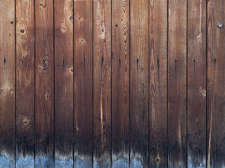 Obraz premium The texture of an old, burnt-out, or faded fence. Unevenly painted, mordant wooden wall background. A woody pattern of rotten, fungus infested planks. Gray, black, brown shade.