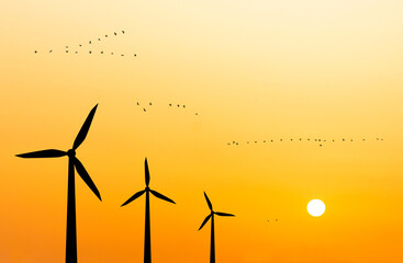 Wind turbines and flying birds and the setting sun