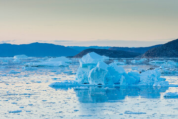 Greenland. Eqip Sermia. Icebergs and brash ice.