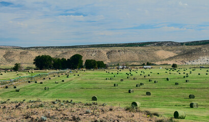 Hay Field with Irrigation and Hay Rolls