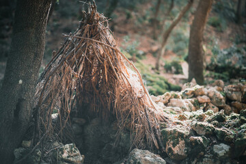 magic straw hut in the woods
