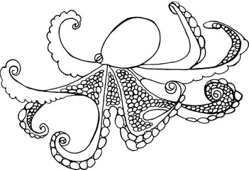 Doodle clipart sea life, octopus doodle on white background, octopus coloring book, coloring octopus for child