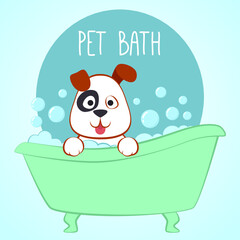 Cute dog bathing