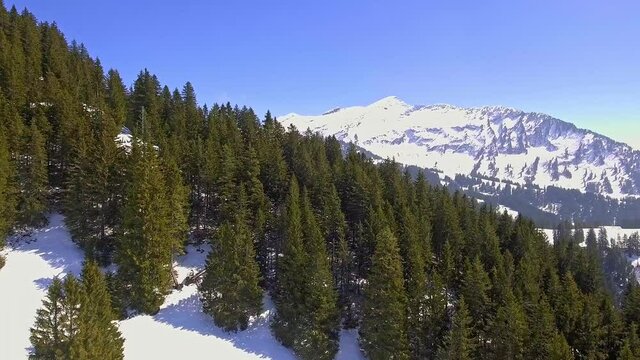 Rotating aerial view of the pine forest on snowy mountains in Amden, Switzerland