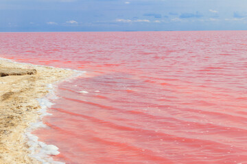 View of the pink salty Syvash lake in Kherson region, Ukraine