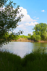 Fresh green grass under blue sky, development environmental protection concept. Green grass on blue...