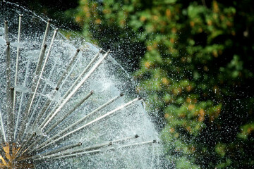 fountain in summer photo