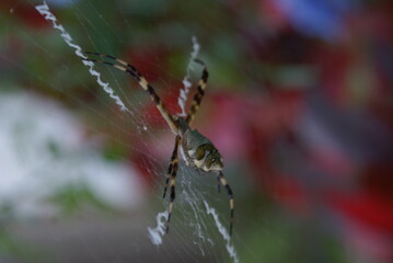 SONY DSC