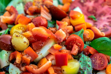 Fresh garden salad, USA