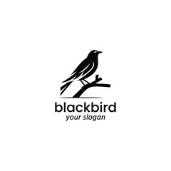 blackbird logo vector - obrazy, fototapety, plakaty
