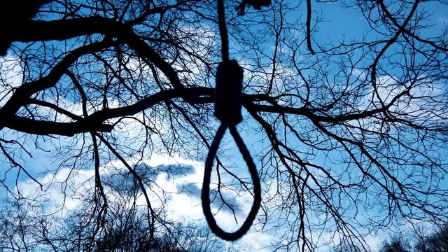 Hangman's knot or noose. Loop, rope hanging from a tree in the forest, blue sky and sun. Seeing hope before commiting suicide. Depression, too much stress, death.