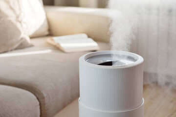 Fototapeta na wymiar Modern air humidifier, aroma oil diffuser at home. Improving the comfort of living in a house, Improving the well-being. Ultrasonic steam technology.