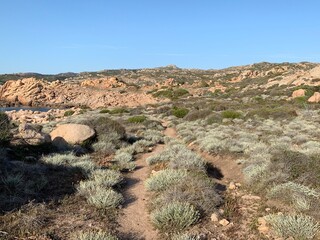 ruins of the city of historic city