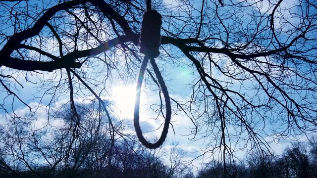 Hangman's knot or noose. Loop, rope hanging from a tree in the forest, blue sky and sun. Seeing hope before commiting suicide. Depression, too much stress, death.