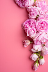 pink roses  around pink background. life style concept. flat lay