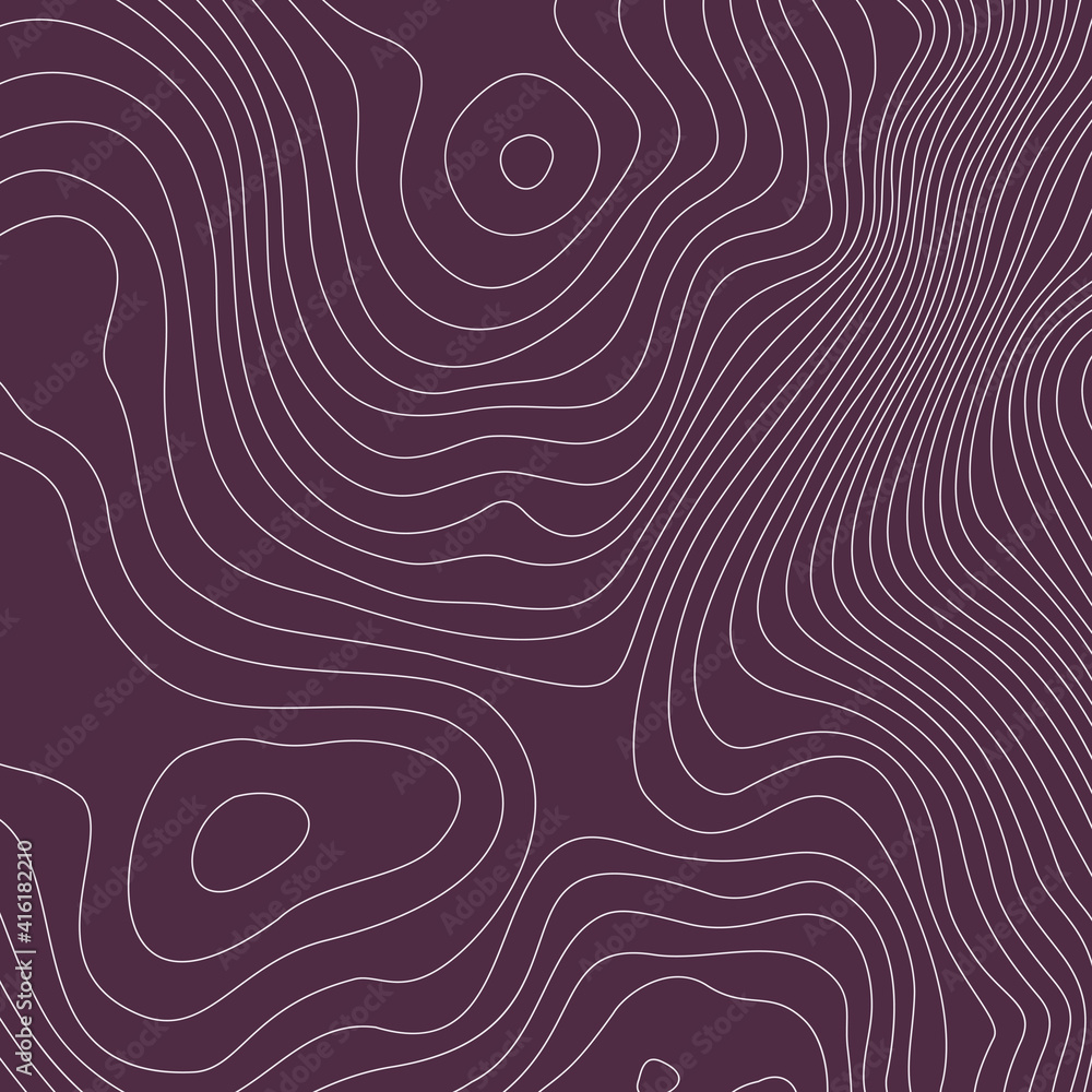 Fototapete the stylized height of the topographic contour in lines and contours. the concept of a conditional g