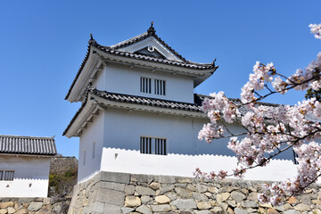 Naklejka premium 春の彦根城 佐和口多聞櫓 滋賀県彦根市