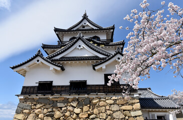 Fototapeta premium 春の彦根城 天守閣 滋賀県彦根市