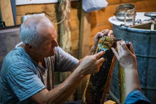 Beekeeper removes excess beeswax with the scraper by hand, preparing for pumping honey. Beekeeper works in the apiary.