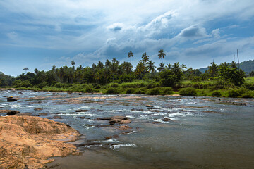 the river in Sri Lanka