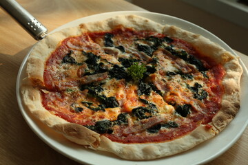 Crispy Thin Crust Pizza