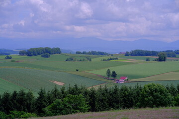 tractor in field