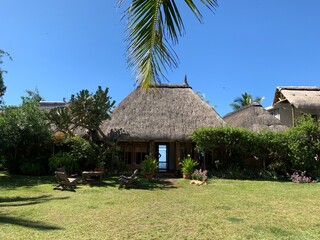 house in the garden