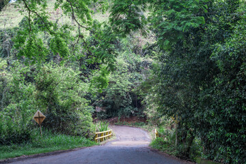 Fototapeta premium road with a bridge in the forest