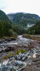 Fototapeta na wymiar Creek, Vancouver Island, BC, Canada