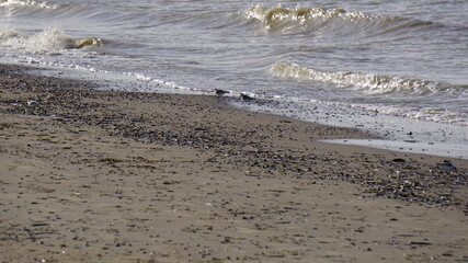 Warm winter days on the beach relaxing and enjoy