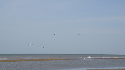 Warm winter days on the beach relaxing and enjoy