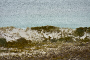 Coastal dune of white sand with recovering vegetation preventing erosion.