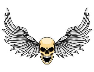 Fototapeta premium The dashing wings with the human dead skull for the tattoo inspiration