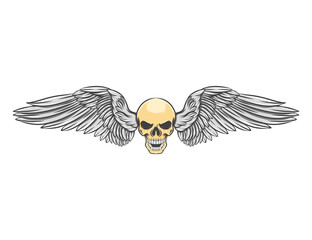 The bikers logo inspiration of the head skull with the dashing wings
