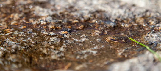 close up of dirt with blurred edges