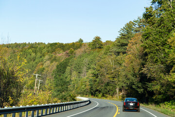 Driving on a road surrounded by trees