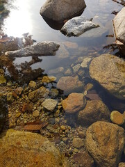 봄이 오는 계곡