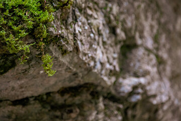 Gorges de Douanne