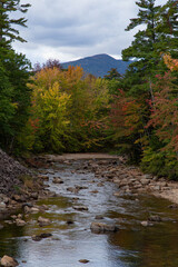 Fototapeta na wymiar river in the mountains during autumn