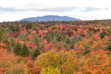 autumn landscape in the mountains