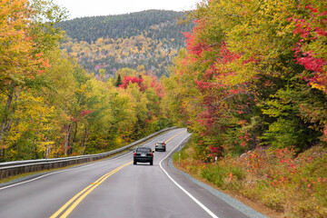 A road through a forest in autumn