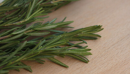 fresh green fluffy rosemary sprigs on a beige background
