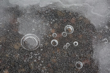 Water bubbles formed under layer of ice on road