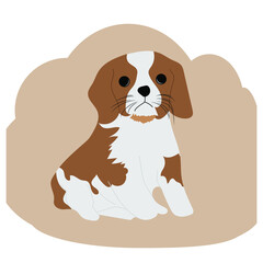 Small dog Springer Spaniel template logo design. Vector illustration