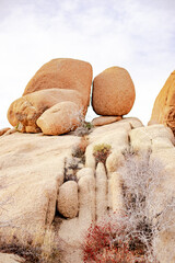 Joshua Tree National Park