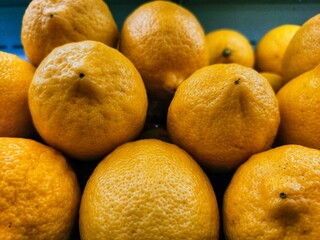 oranges in the market