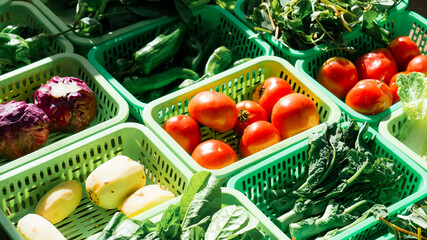 shopping cart with vegetables