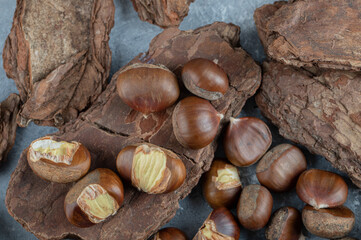 Delicious healthy chestnuts on a tree bark