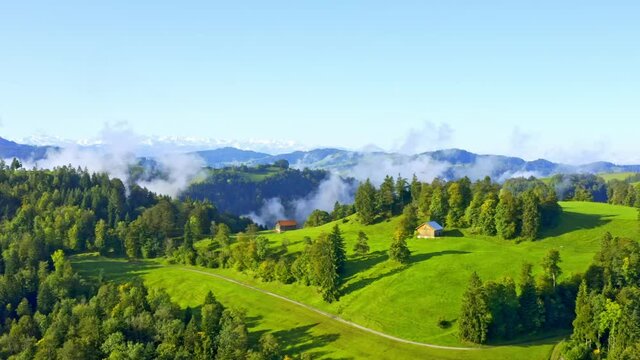 Drone view of green mountains, beautiful huts and tall pine trees in Amden, Switzerland